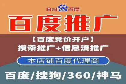 百度平台推广：成功案例解析与效果分析